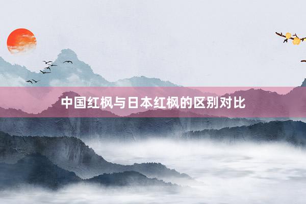 中国红枫与日本红枫的区别对比