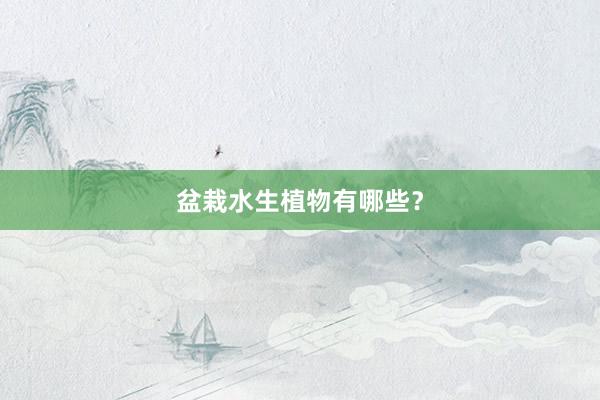 盆栽水生植物有哪些？