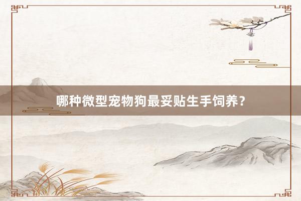 哪种微型宠物狗最妥贴生手饲养？