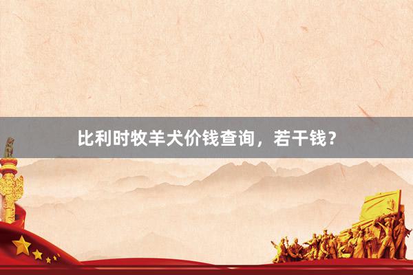 比利时牧羊犬价钱查询，若干钱？